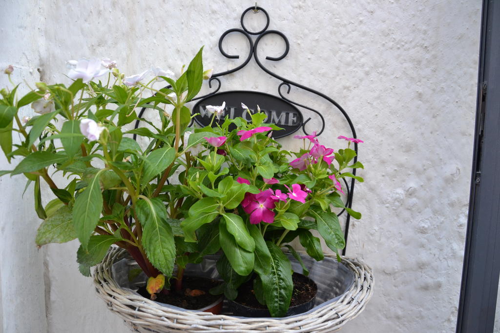 La Violetta Ostuni 아파트 객실 사진